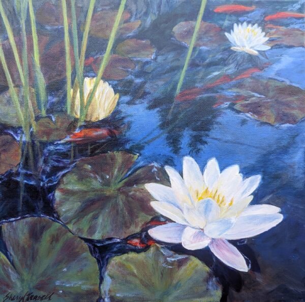 Pond Lilies